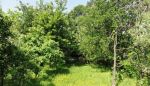 Záhradná chatka - Púšť- 400 m2 Znížená cena