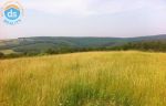 Na Predaj pozemok cca 2.996 m2, Stará Turá - Súš