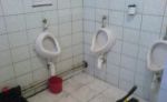 Krtkovanie dubravka Non-stop 0944 289 756