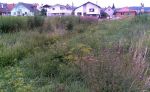 Pliešovce - Pozemok na stavbu rodinného domu