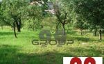 Na predaj pozemok v obci Rákoš, Košice-okolie