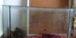 Predám akvárium