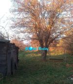 Pozemok  starší dom Obsolovce na predaj