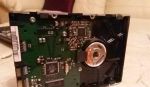 HD 80 Gb sata - 3,5&quot