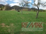 Pozemok 4504 m2 v blízkom okolí Martina