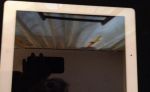 Ipad 16GB biely