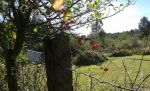 Pozemok (záhrada) v BA-Záhorská Bystrica