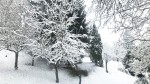 Hacienda v očarujúcej prírode